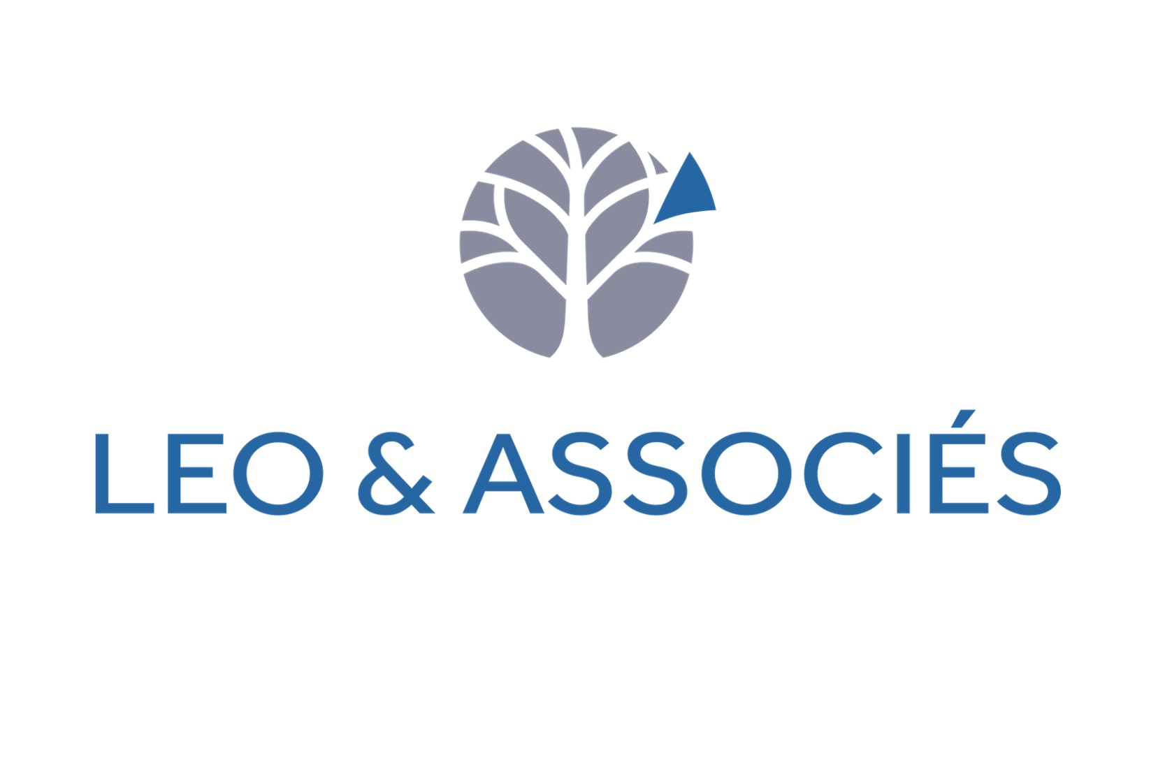 LEO ET ASSOCIES