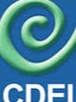CDEI
